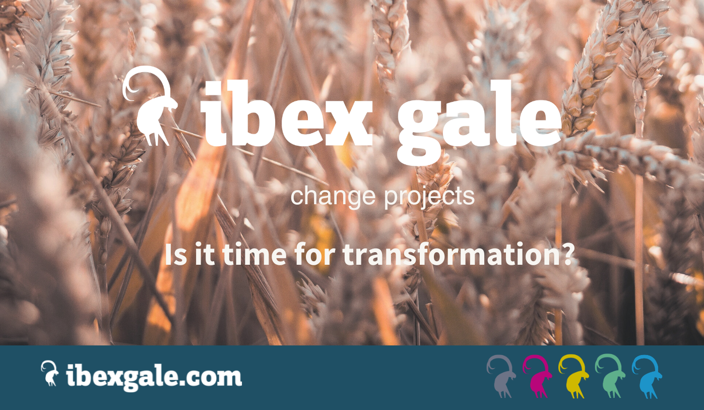 Is it time for transformation? - ibex gale