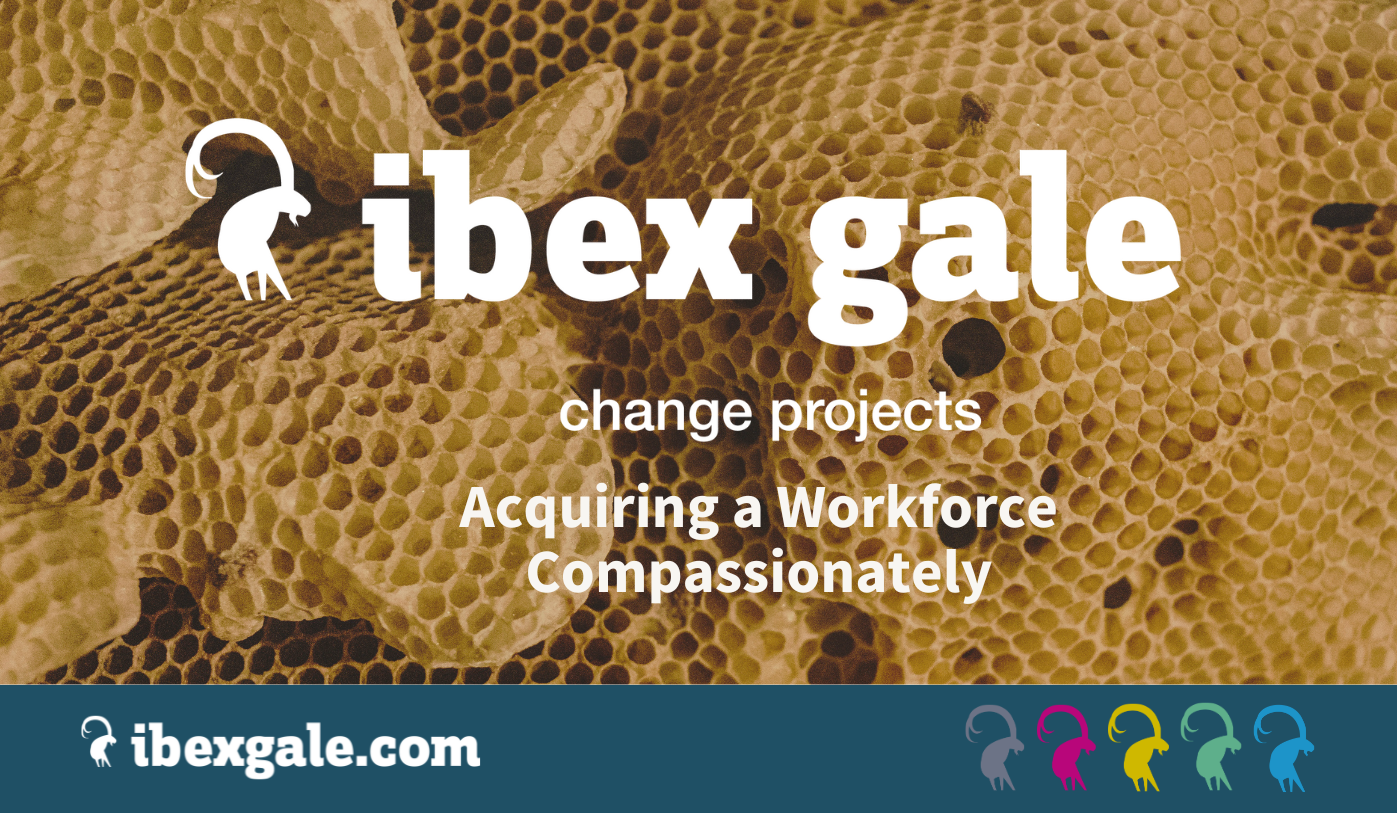 Acquiring a workforce compassionately (tupe) - ibex gale