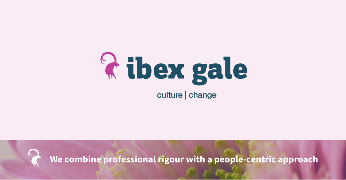 The tricky interplay of redundancies and maternity leave - ibex gale