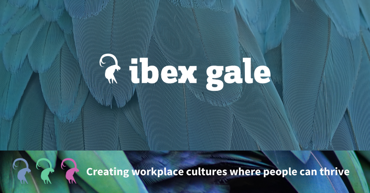 Workplace investigations: why a 'people-centric' approach protects an employer's most valuable asset - ibex gale