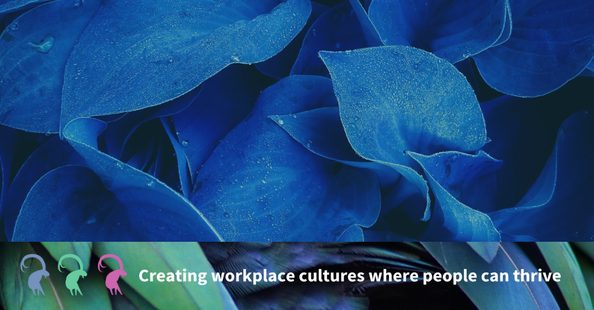 Creating neurodivergent friendly workplaces - ibex gale